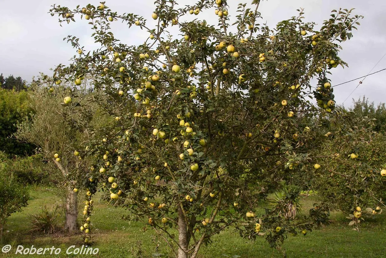 Artesoro Baserria San Pedro de Galdames